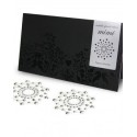 Mimi rhinestone pasties