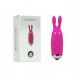 Lastic Pocket Vibe Pink Bullet Vibrator Black